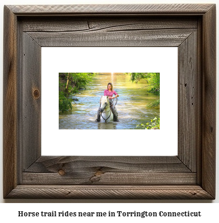 horse trail rides near me in Torrington, Connecticut